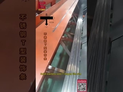 800 किलोग्राम/मीटर स्टेनलेस टी-ट्रिम परीक्षण - समुद्री ग्रेड एज गार्ड के साथ 20 साल की खारे पानी की वारंटी